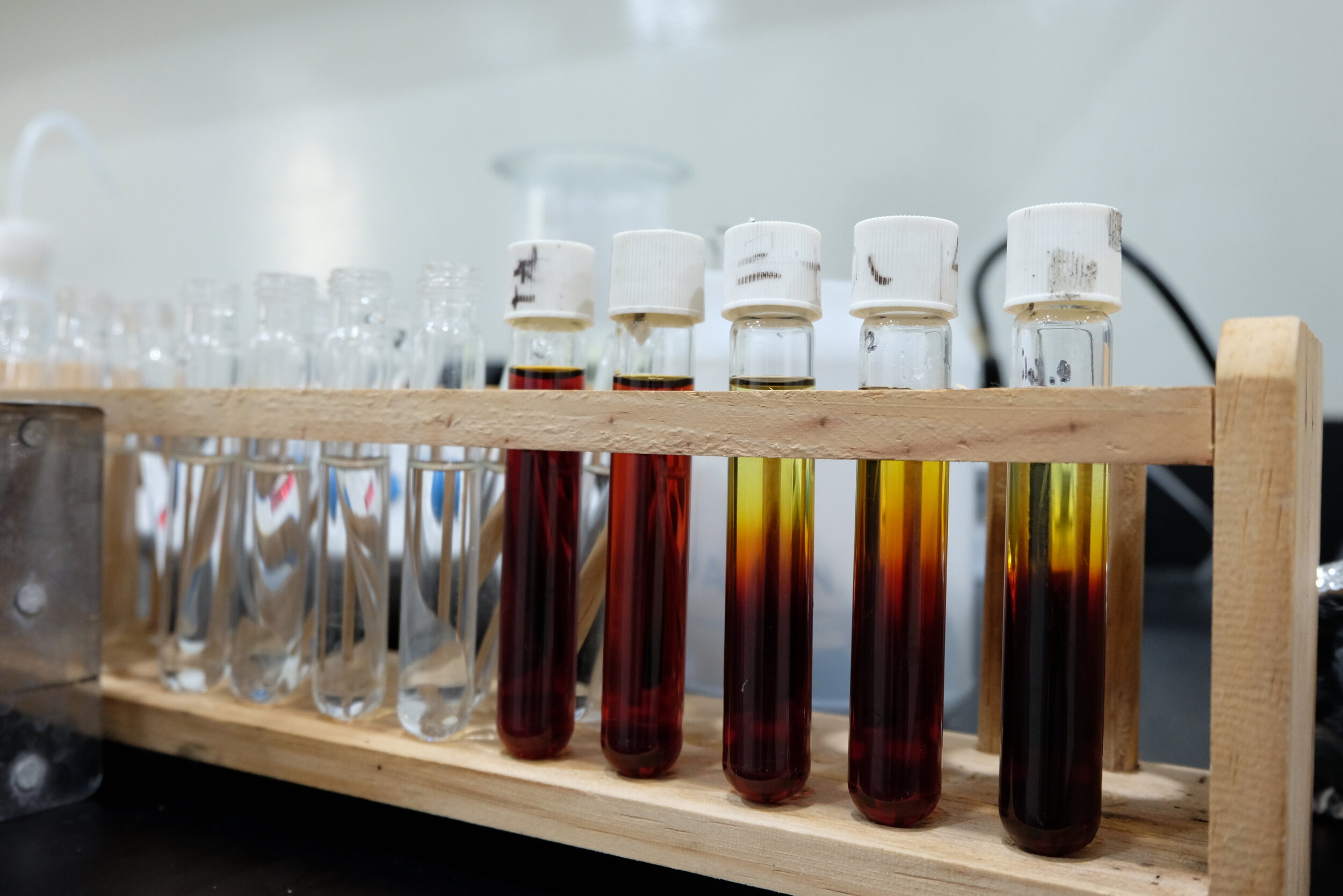 Sample tubes racked in the Cultiva laboratory in Bandung.